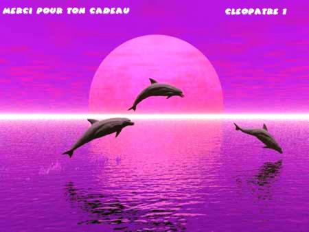 Petit cadeau de cleopatre 1.